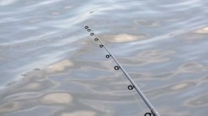 Фидерная рыбалка на карася | рыбалка на фидер для начинающих | ловля карася на фидер | рыбалка 2020