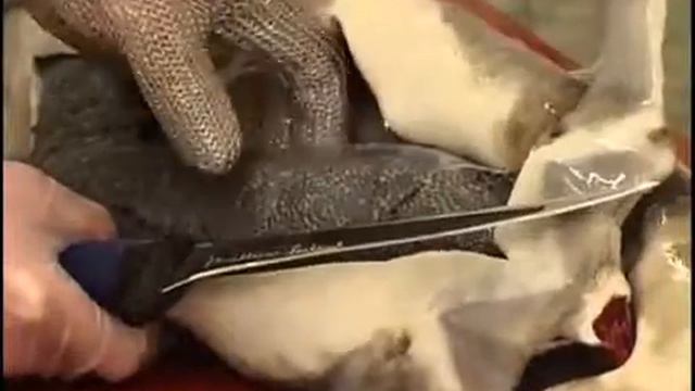 Фирма Caviar Creator. Уже в прошлом. смотреть онлайн