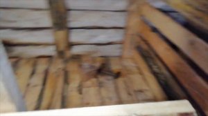 Как сделать клетку для свиней. Свинарник.