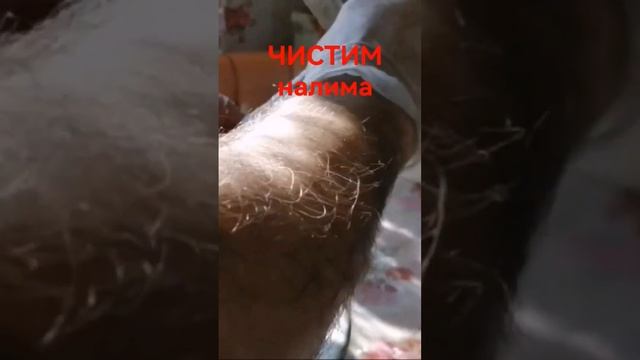 РЫБАЛКА НА РЕЧКЕ ЧИСТИМ НАЛИМА #shorts смотреть онлайн