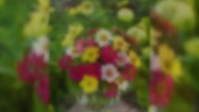 ВИДЕО ОТКРЫТКА ДЛЯ ХОРОШЕГО НАСТРОЕНИЯ! смотреть онлайн