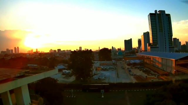 Flying MJX Bugs 5W смотреть онлайн