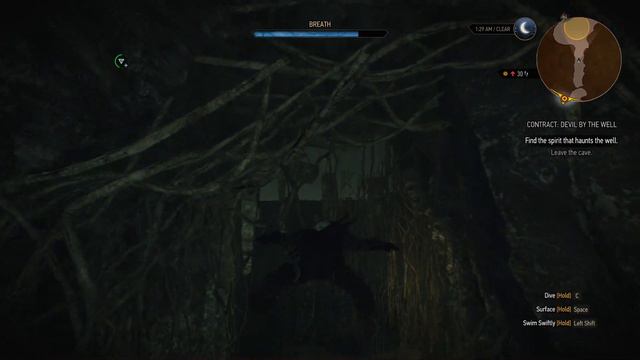 The Witcher 3: Wild Hunt | Let's Play | 06 смотреть онлайн