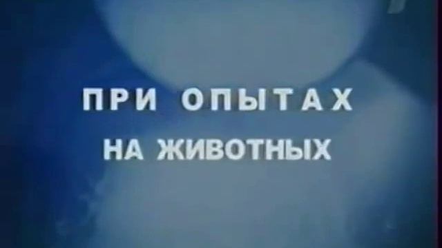 Сахарозаменители польза или вред.mp4 смотреть онлайн