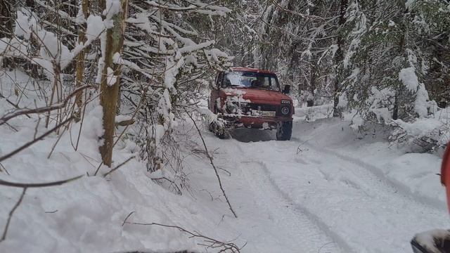 Встретили косуль, но видео не об этом... Зимний оффроад смотреть онлайн