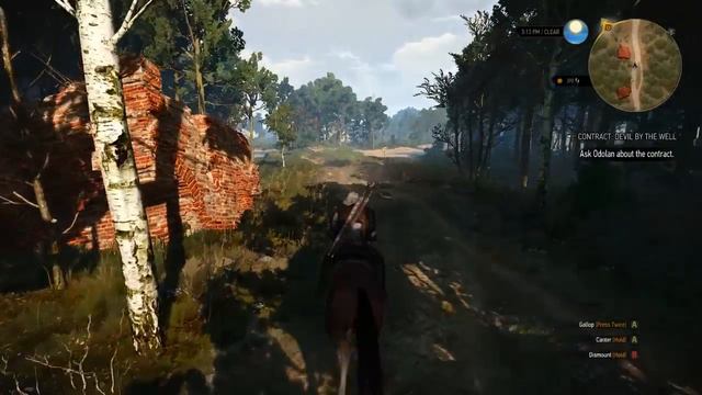 The Witcher 3: Episode 3 - Battlefield Corspe Hunt and Noon Wraiths! смотреть онлайн