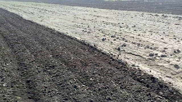 Самодельный культиватор для минитрактора (в работе) смотреть онлайн