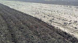 Самодельный культиватор для минитрактора (в работе)