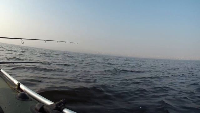 КАК Я СУДАКА НА БУКВУ ( М ) ЛОВИЛ !!! ПРОВЕРКА ПЕРЕМЕТА И НЕ МНОГО РЫБАЛКИ НА РЕКЕ УРАЛ ! смотреть онлайн