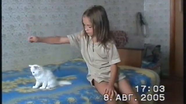 Белый котик с разными глазами и Юля смотреть онлайн