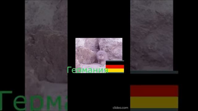 1,2 манула на 10 языках смотреть онлайн