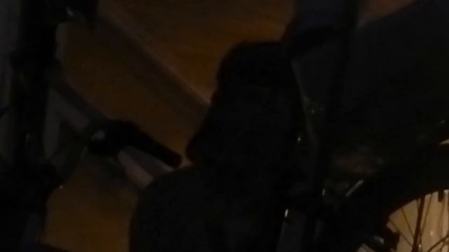 Шизик Витя муз/группа Люди из прошлого "Нейтронный сон" смотреть онлайн