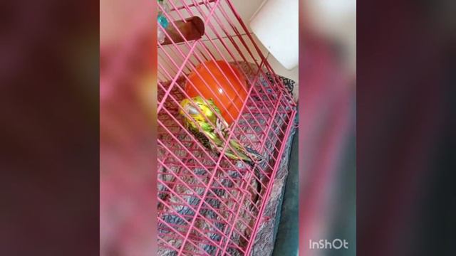 PRINCESS 👸 SOFI смотреть онлайн