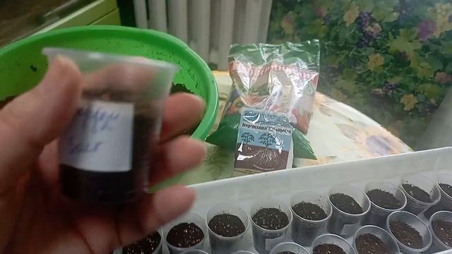 🍅🍅1 марта, сею томатики🍅✌ смотреть онлайн