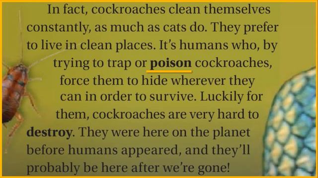 8° ano – IMPACT 3 – Unit 2 – Misunderstood Animals – Vocabulary (READING) смотреть онлайн