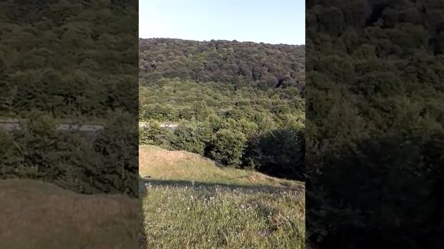 Трактор видео смотреть онлайн