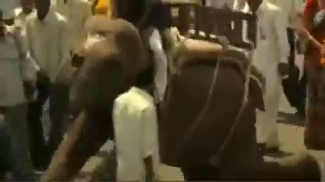 Volkswagen Amarok Commercial - w12cars.com смотреть онлайн