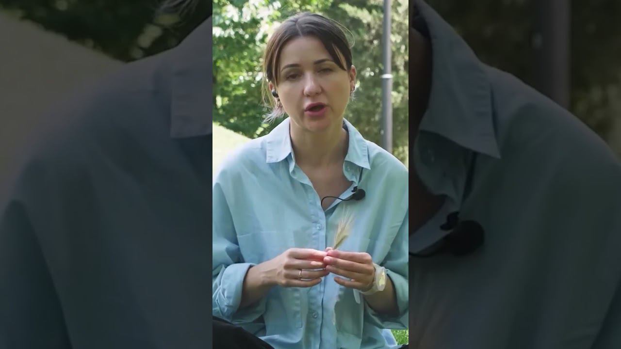 Если собака чихает - обратите внимание на нос! #shorts смотреть онлайн