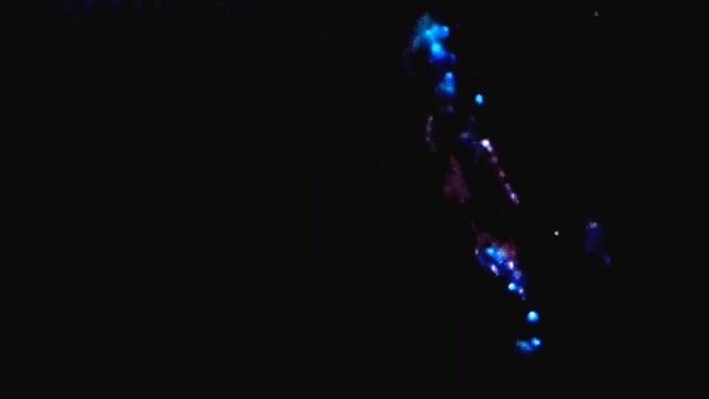 СЕЛЕДКА СВЕТИТСЯ. РЫБА СВЕТИТСЯ смотреть онлайн