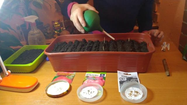 ТОМАТЫ ДЛЯ ЛЕНИВЫХ , ПОСЕВ СЕМЯН НА РАССАДУ . смотреть онлайн