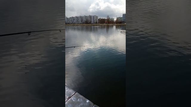 Рыбалка в витебске 19.04 2020 смотреть онлайн