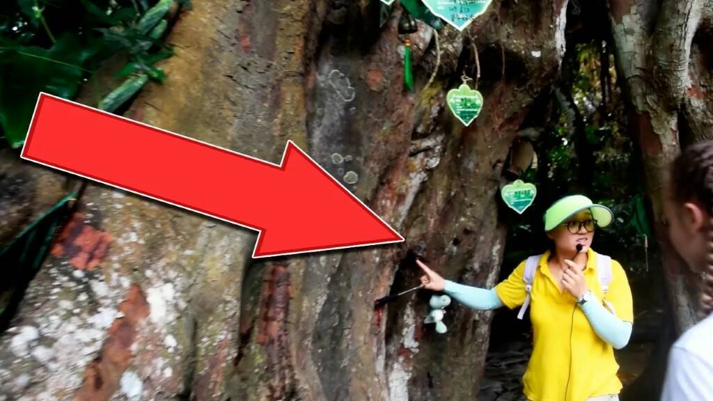 У ДЕРЕВЬЕВ ПОЯВИЛСЯ РЕБЁНОК! 1000 летние деревья в Китае смотреть онлайн