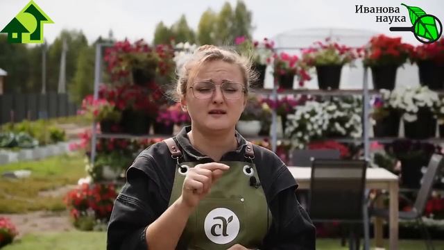 КРАСНЫМ СТЕРЖНЕМ. ЗОМБИ, МИЗОГИНИЯ и СТОКГОЛЬМСКИЙ СИНДРОМ ОГОРОДНИКОВ. Армагеддон, а не блог! смотреть онлайн