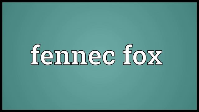 Fennec fox Meaning смотреть онлайн