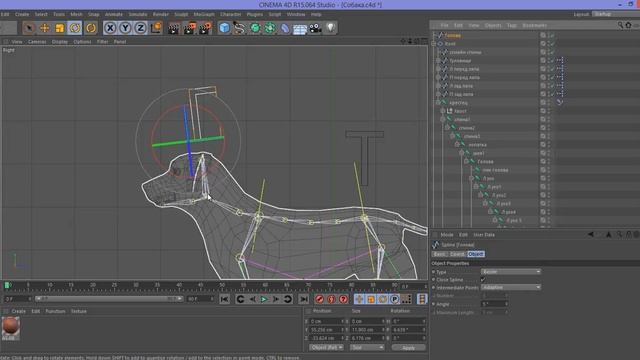 Окончание сетапа собаки в Cinema 4D смотреть онлайн