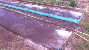 подготовка грядки для клубники. клубника. грядка.