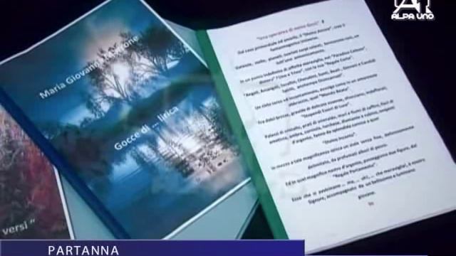 PARTANNA Poetessa di fama per caso, la storia struggente di ex insegnante смотреть онлайн