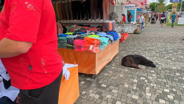 SIDE KUMKOY SHOPPING Bazaar TÜRKIYE #kumkoy #side #turkey #replica