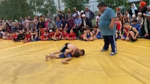 Вольная борьба