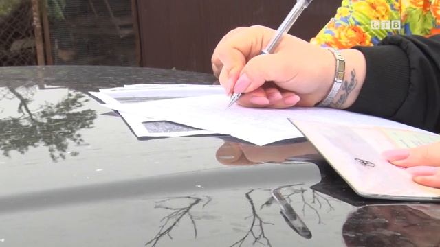 Нерадивых владельцев рогатого скота начали штрафовать смотреть онлайн