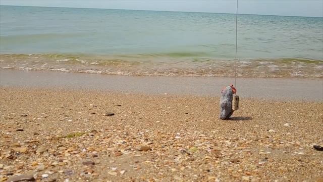 Клипсик на море собирает ракушки для поделок. Video for children Klipsik sea смотреть онлайн