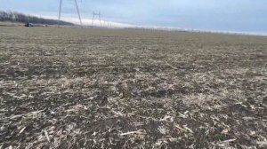 ВНЕСЕНИЕ АММИАЧНОЙ СЕЛИТРЫ | Разбрасываем удобрение