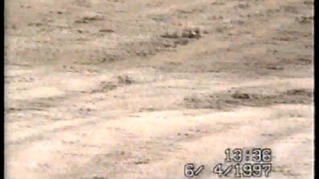 Mx .Ростов на Дону 1997г гребной канал смотреть онлайн