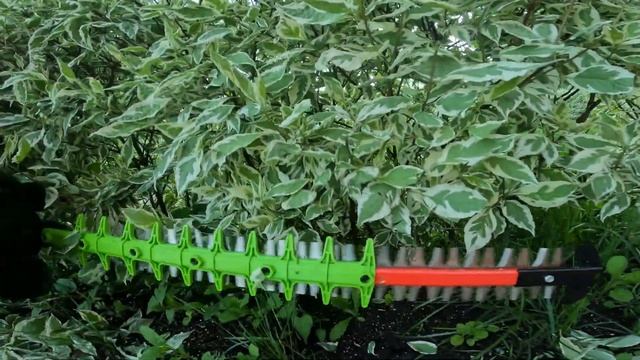 Аккумуляторный кусторез Greenworks GD60HT: обзор и стрижка изгороди смотреть онлайн