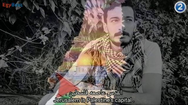 🇵🇸💔 смотреть онлайн