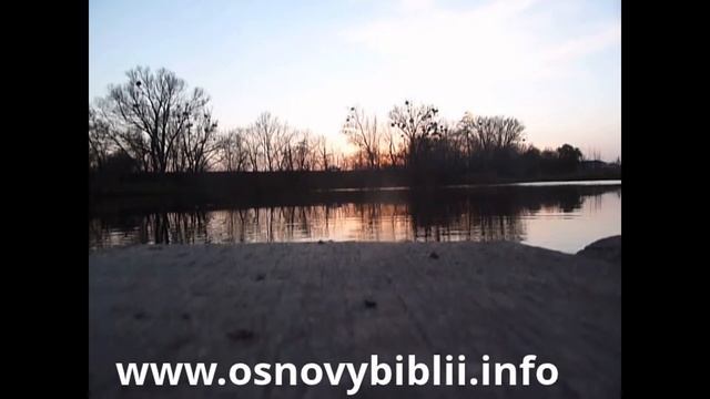 Страус следит служба крещения в сельской местности Украины ! Христадельфиане смотреть онлайн