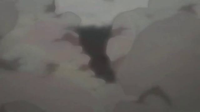 KAIDO VS LUFFY / UNRAVEL 1080/60 FPS смотреть онлайн