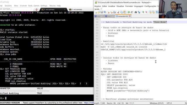 Oracle Auditoria: Habilitando o Unified Auditing Trail e Criando trilhas de auditoria смотреть онлайн
