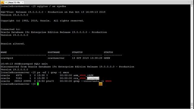 How to identify which Oracle Database instances are running on Linux server? смотреть онлайн