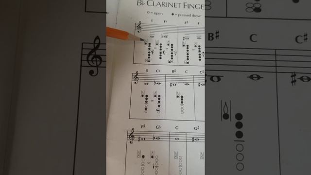 Mr Fast LCBB hint for Clarinet break смотреть онлайн
