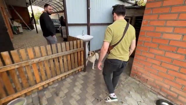 ?23.04.2023 | IRL в Апшеронске. Стая (RavshanN, Steel, Renatko), Shadowkek и Strogo