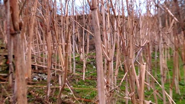 ПРОСТО КОП НА РОДИНЕ! НОСТАЛЬГИЯ ! смотреть онлайн