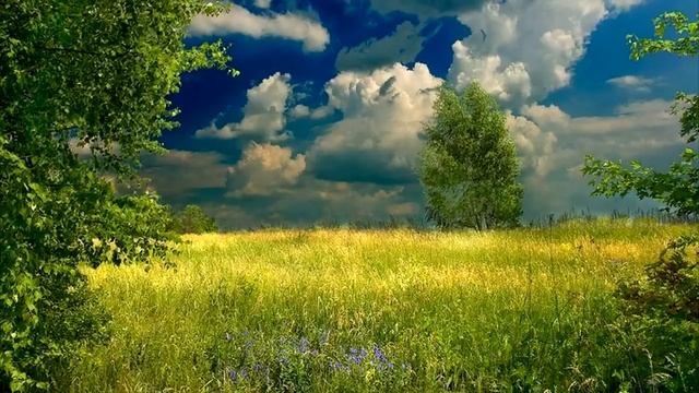 Майя Кристалинская. Русь смотреть онлайн