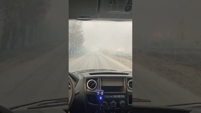 Пожары в Кургане. #курган #курганскаяобласть #пожар #природакургана смотреть онлайн