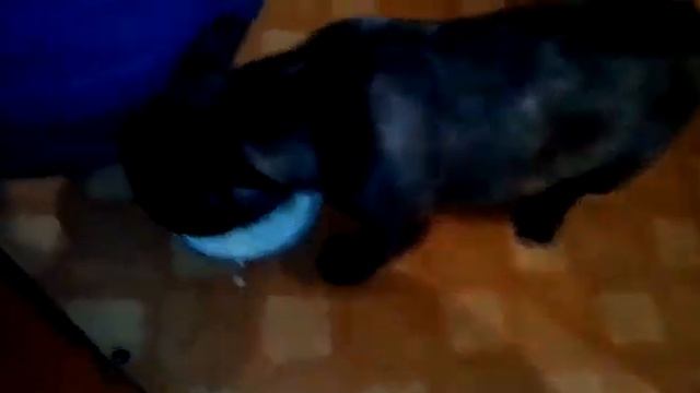 Здоровое питание, творог всему организму полезен смотреть онлайн