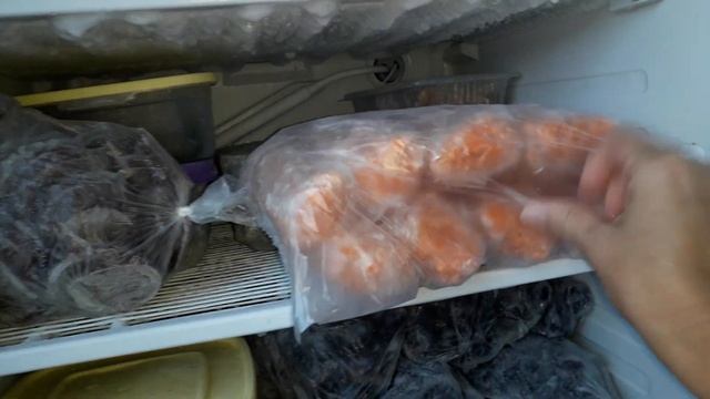 Морозильная камера !Сезонная заморозка овощей на зиму! смотреть онлайн